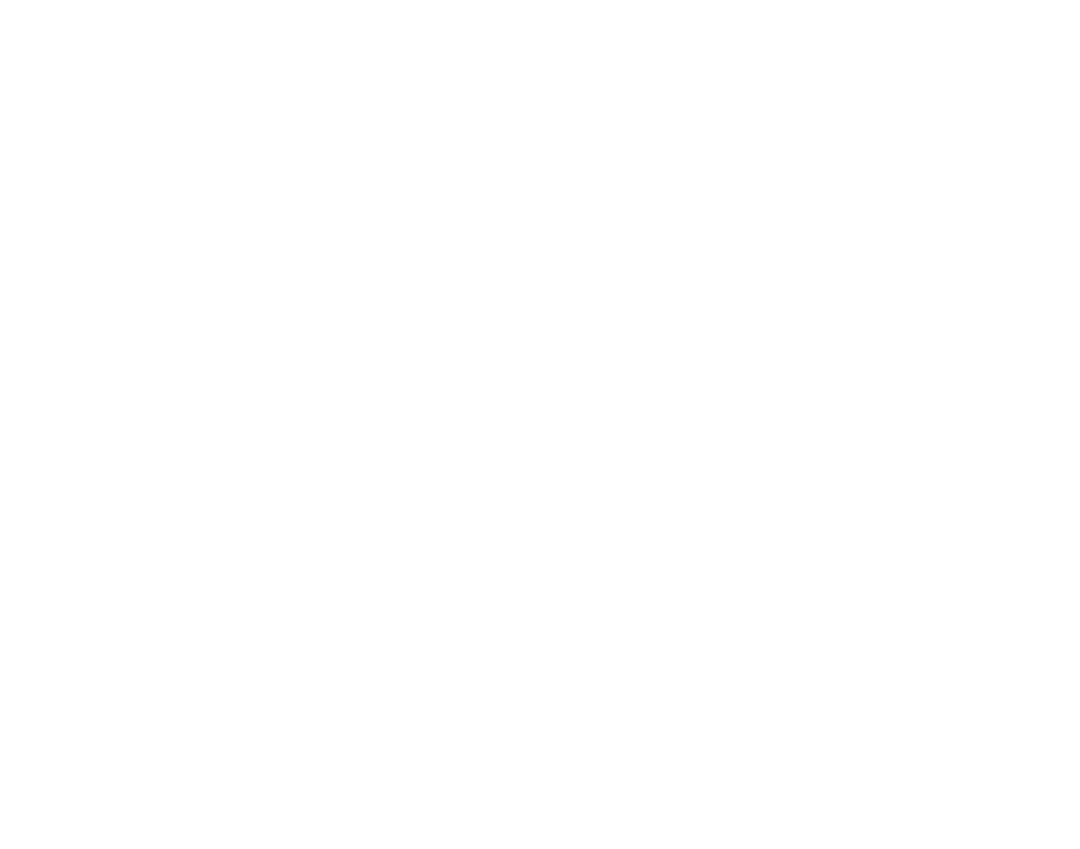 Emergency Roofing Leak 