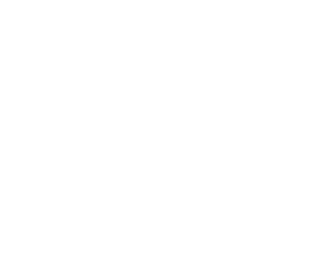 Emergency Roofing Repair Company